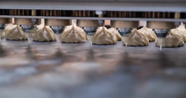 El proceso de depósito de malvaviscos o profiteroles en la máquina de jigging — Vídeos de Stock