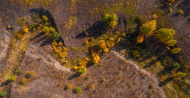 Sonbahar yaprakları düşerken üzerinde ağaçlar büyüyen vadinin tuhaf şeklinin en üst görüntüsü.