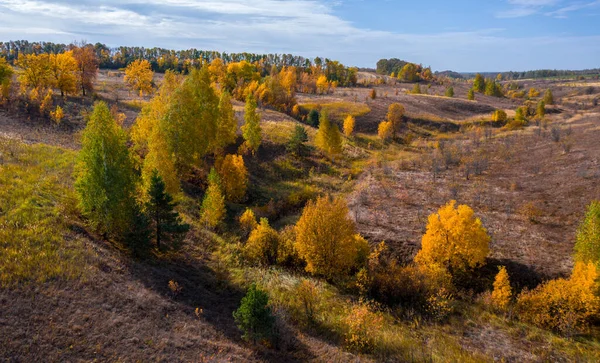 Vista Superior Das Belas Árvores Outono Que Crescem Nas Encostas — Fotografia de Stock