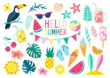 Tatlı yaz elementlerinin toplanması, beyaz arka planda izole edilmiş ikonlar: tropikal yapraklar ve kuşlar, içecekler ve dondurma. Yaz mevsimi posteri, plaj tatili.