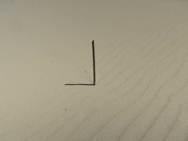   Saat 9: sahilde kum küçük sopa                              