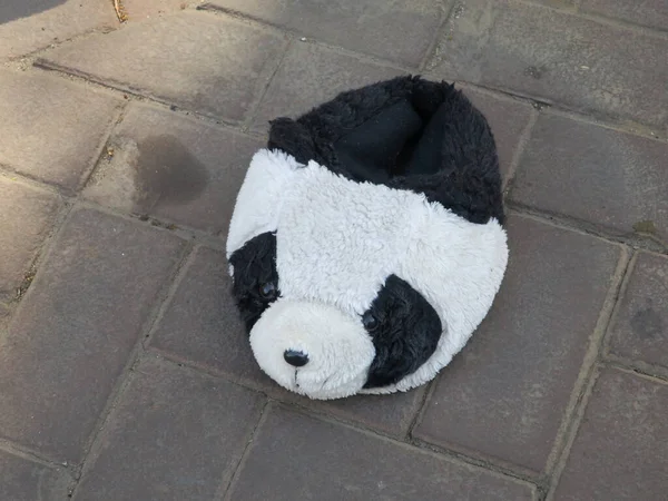 Ztracený Černobílý Panda Střevíček Nebo Mezek Ulici Stock Snímky