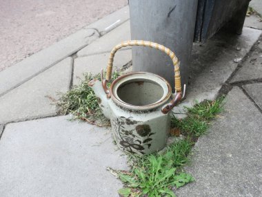 Kaldırımda otlarla dolu boş bir çaydanlık.