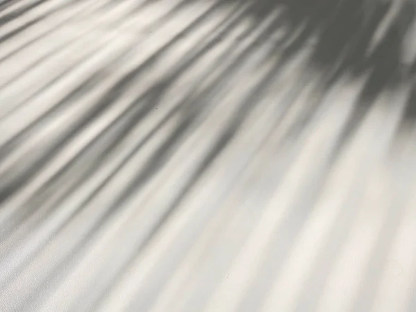 Etwas Sonnenlicht Das Durch Das Luxaflex Auf Einem Weißen Tisch — Stockfoto