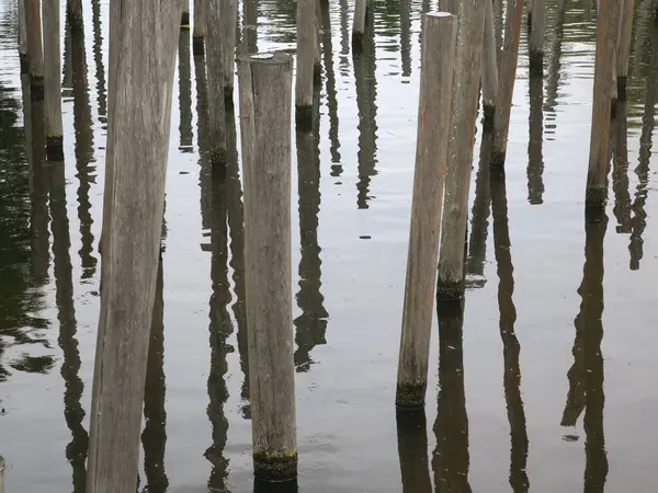Einige Holzstangen Und Ihr Spiegelbild Wasser — Stockfoto