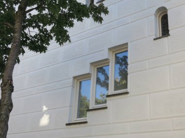 Beyaz bir duvarda bir ağaç yansıtan bir cam merdiveni.