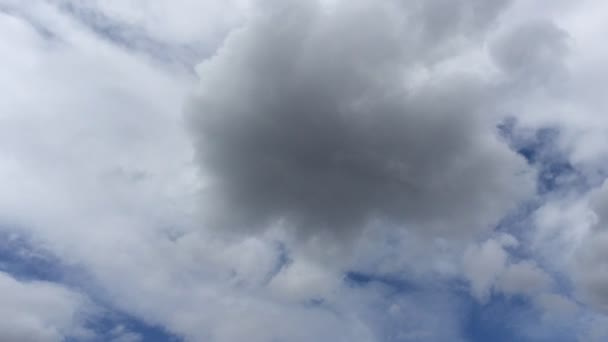 Lekkie Szare Chmury Unoszące Się Jasne Piękne Błękitne Niebo — Wideo stockowe