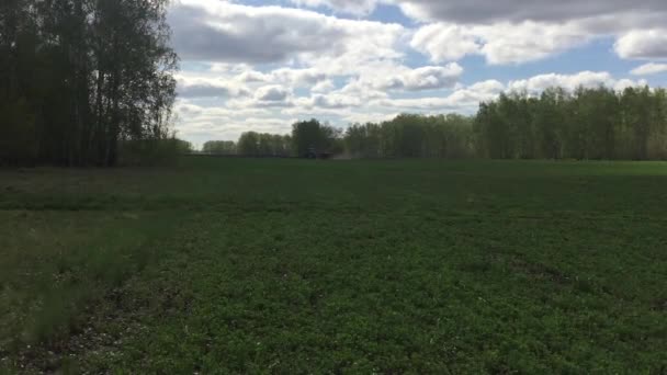 Een Bulldozer Plows Het Land Voor Verdere Inzaai Van Tarwe — Stockvideo