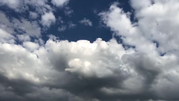 Beautiful Gray Clouds Float Summer Blue Sky Formation Modification Clouds — Stock Video