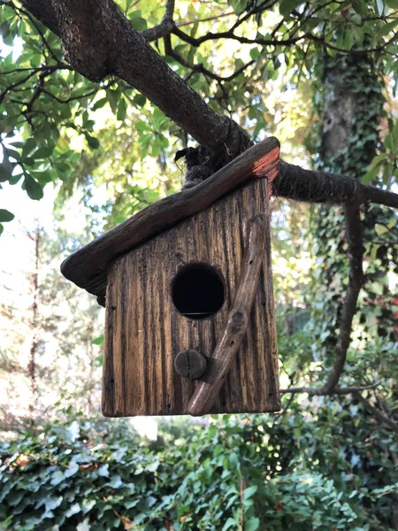 Superbe Nichoir Bois Maison Pour Oiseaux Sur Grand Arbre — Photo