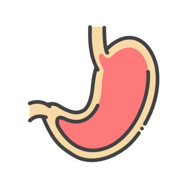 Mide çizgisi renk ikonu. İnsan organı konsepti. Web sayfası, mobil uygulama, düğme, logo için imza. Vektör izole eleman. Düzenlenebilir vuruş.