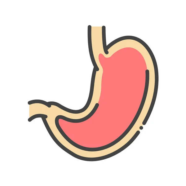 Icona Colori Della Linea Dello Stomaco Concetto Organo Umano Firma — Vettoriale Stock