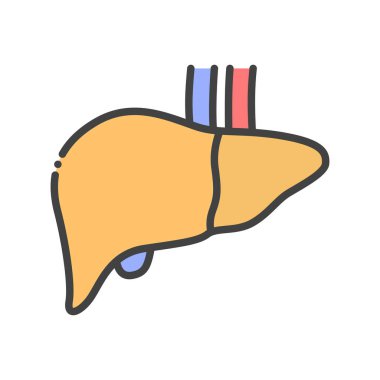 Karaciğer çizgisi renk simgesi. İnsan organı konsepti. Web sayfası, mobil uygulama, düğme, logo için imza. Vektör izole eleman. Düzenlenebilir vuruş.
