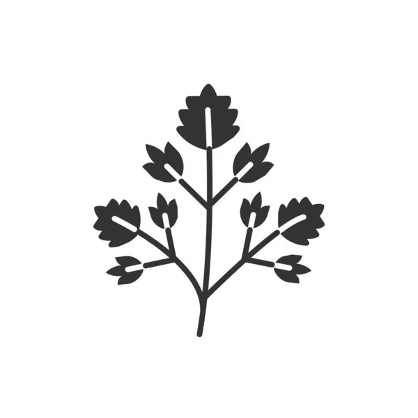Glyphe Noir Persil Icône Feuilles Herbes Salade Légumes Naturels Aliments — Image vectorielle