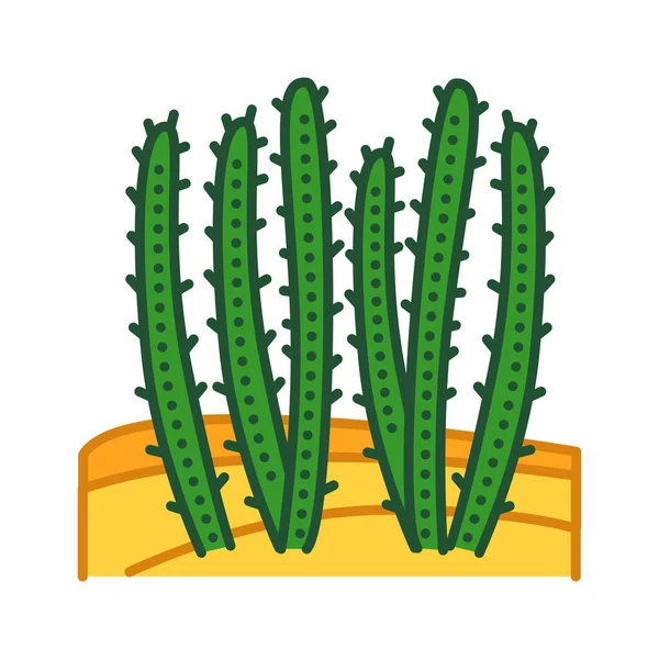 Cactus Desert Color Line Icon Type Cacti Grow Extremely Dry — Stock Vector