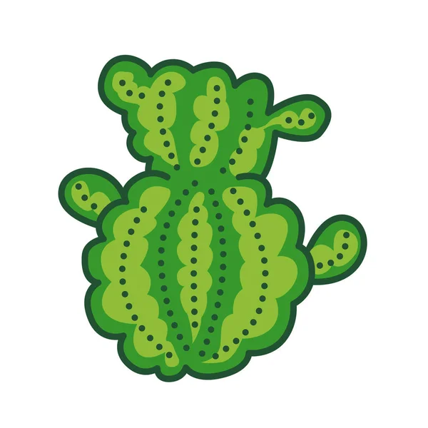 Icône Ligne Couleur Cactus Genre Plante Adaptée Aux Climats Chauds — Image vectorielle