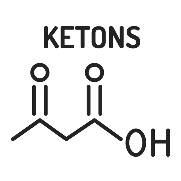 Ketone Kroppar Svart Linje Ikon Vattenlösliga Molekyler Som Innehåller Ketongruppen — Stock vektor