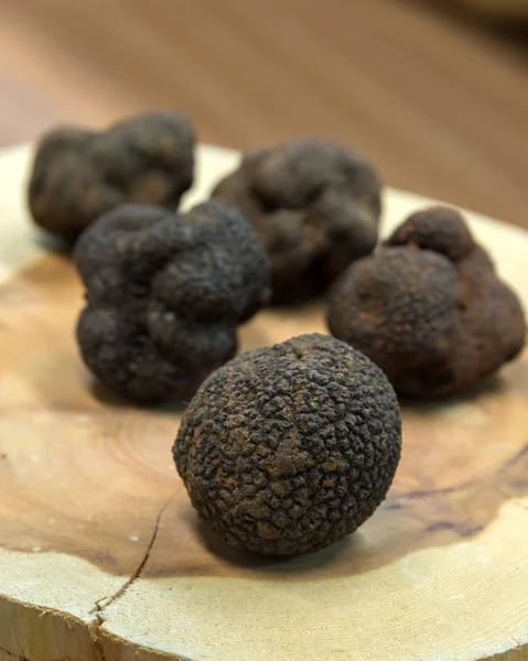 Tuber Melanosporum 是一种真菌 诞生于地球内部 俗称黑松露 非常欣赏在美食的味道和气味 — 图库照片