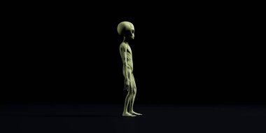 Extremely detailed and realistic high resolution 3d illustration of a grey alien clipart