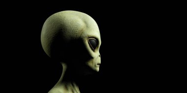 Gri bir uzaylı son derece detaylı ve gerçekçi yüksek çözünürlüklü 3D Illustration