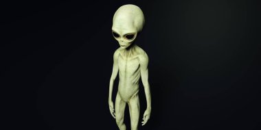 Gri bir uzaylı son derece detaylı ve gerçekçi yüksek çözünürlüklü 3D Illustration