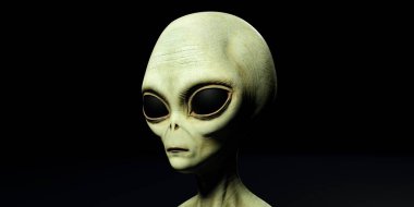 Gri bir uzaylı son derece detaylı ve gerçekçi yüksek çözünürlüklü 3D Illustration