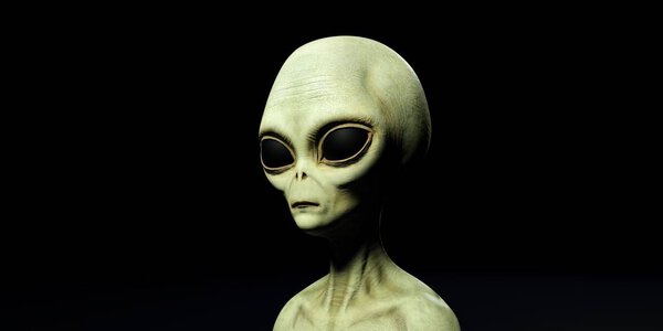 Extremely detailed and realistic high resolution 3d illustration of a grey alien