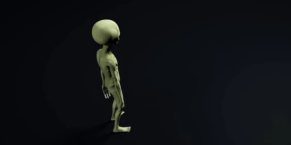 Детальная и реалистичная трехмерная иллюстрация высокого разрешения серого инопланетянина — стоковое фото