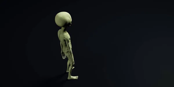 Extremely detailed and realistic high resolution 3d illustration of a grey alien — Stock Photo, Image