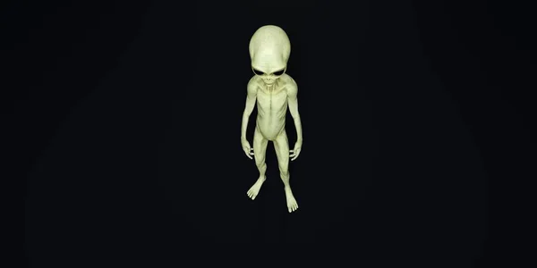 Illustrazione 3D ad alta risoluzione estremamente dettagliata e realistica di un alieno grigio — Foto Stock