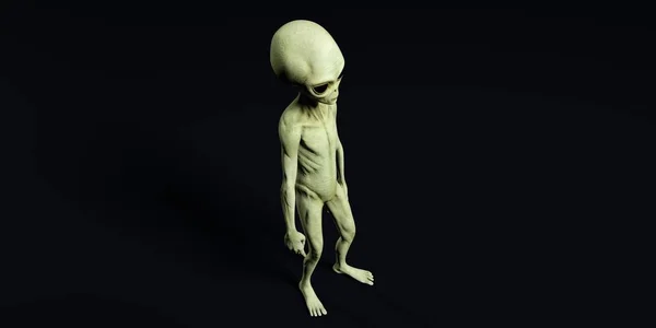 Ilustração 3D de alta resolução extremamente detalhada e realista de um alienígena cinza — Fotografia de Stock