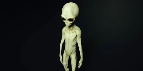 Ilustração 3D de alta resolução extremamente detalhada e realista de um alienígena cinza — Fotografia de Stock