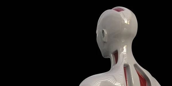 Rendkívül részletes és reális nagy felbontású 3D illusztrálja a humanoid Android — Stock Fotó