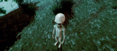 Bir ormanda duran bir Gri Alien son derece ayrıntılı ve gerçekçi yüksek çözünürlüklü 3d illüstrasyon