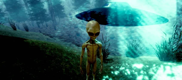 Extremely detailed and realistic high resolution 3d illustration of a Grey Alien standing in a forest