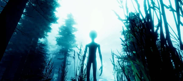 Bir ormanda duran bir Gri Alien son derece ayrıntılı ve gerçekçi yüksek çözünürlüklü 3d illüstrasyon