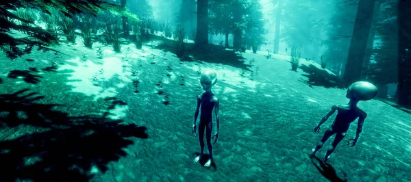 Bir ormanda duran bir Gri Alien son derece ayrıntılı ve gerçekçi yüksek çözünürlüklü 3d illüstrasyon