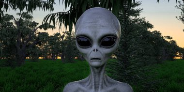 Uzaylı Gri İnsansı Dünya dışı son derece detaylı ve gerçekçi yüksek çözünürlüklü 3D görüntü.