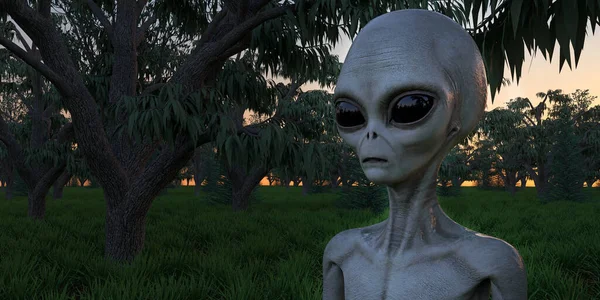 Alien Grey Humanoid Utomjordisk Vara Extremt Detaljerad Och Realistisk Hög — Stockfoto