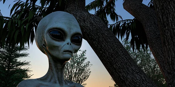 Alien Grey Humanoid Extraterrestre Ser Extremadamente Detallado Realista Imagen Alta — Foto de Stock