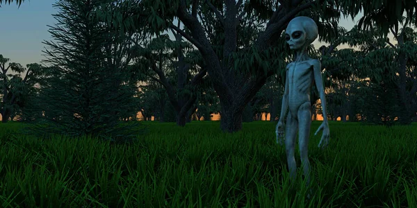 Alien Grey Humanoid Extraterrestrial Sein Extrem Detailliertes Und Realistisches Hochauflösendes — Stockfoto