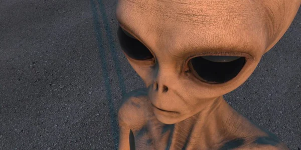 Cinza Alien Extremamente Detalhado Realista Imagem Alta Resolução Ser Extraterrestre — Fotografia de Stock