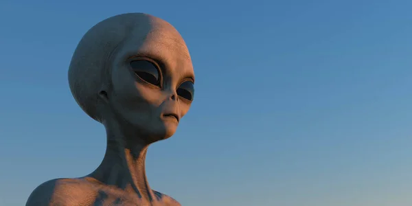 Grey Alien Extremt Detaljerad Och Realistisk Hög Upplösning Bild Utomjordisk — Stockfoto