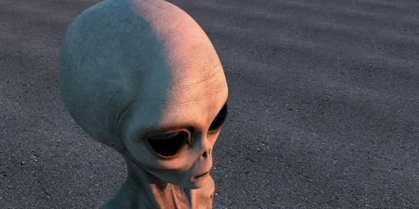 Grey Alien Extremt Detaljerad Och Realistisk Hög Upplösning Bild Utomjordisk — Stockfoto