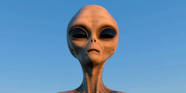 Grey Alien Bardzo Szczegółowe Realistyczne Wysokiej Rozdzielczości Obraz Istoty Pozaziemskiej — Zdjęcie stockowe