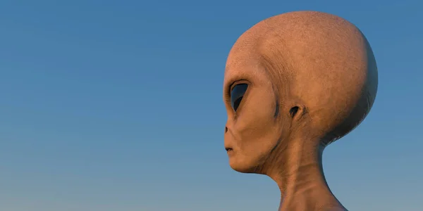 Gris Alien Extremadamente Detallada Realista Imagen Alta Resolución Ser Extraterrestre — Foto de Stock