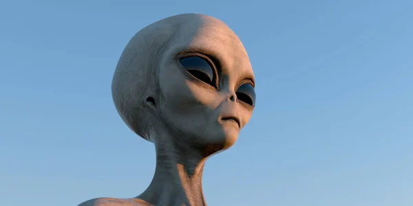 Gri Uzaylı son derece detaylı ve gerçekçi yüksek çözünürlüklü dünya dışı bir varlığın 3D görüntüsü
