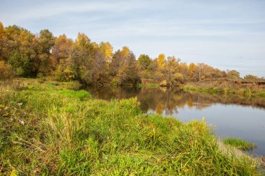 Sonbahar manzara. Nehir, farklı renkteki sonbahar ağaçlar. Eski Kuru ot. Şaşırtıcı derecede güzel manzara. Kış soğuk arifesinde üzgün zaman