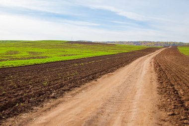 Sonbahar manzara. Kasım, karışık parke orman sonu. Bazen sonbahar Kuzey yarımkürede meydana unseasonably sıcak, Kuru hava bir süre pastırma yazı olduğunu. 