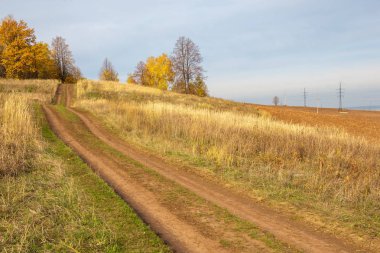 Sonbahar manzara. Kasım, karışık parke orman sonu. Bazen sonbahar Kuzey yarımkürede meydana unseasonably sıcak, Kuru hava bir süre pastırma yazı olduğunu. 